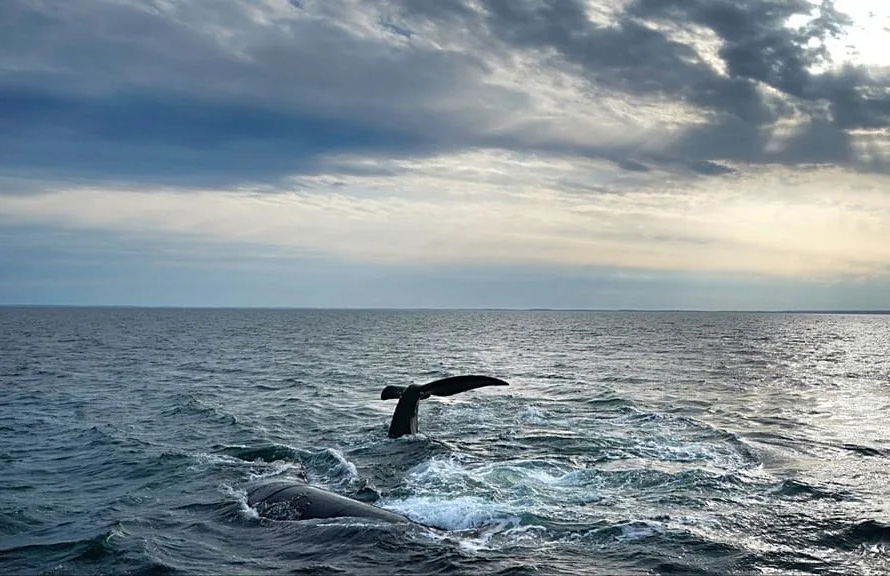 0119 citma acuerdo de alta mar