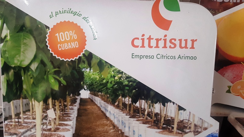 Con la Empresa de Citricos Arimao y la Agroforestal trazaron una estrategia para cumplir compromisos de produccion para la exportacion