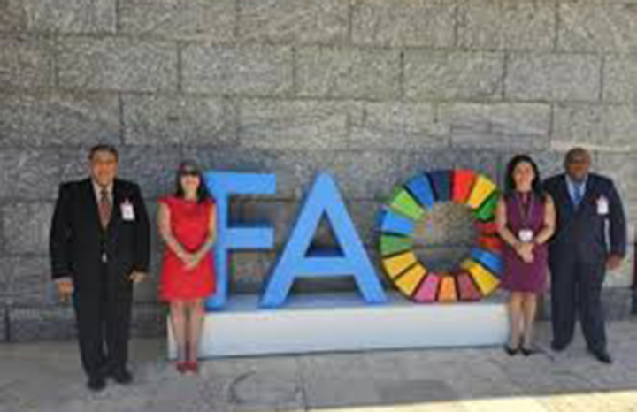 fao1