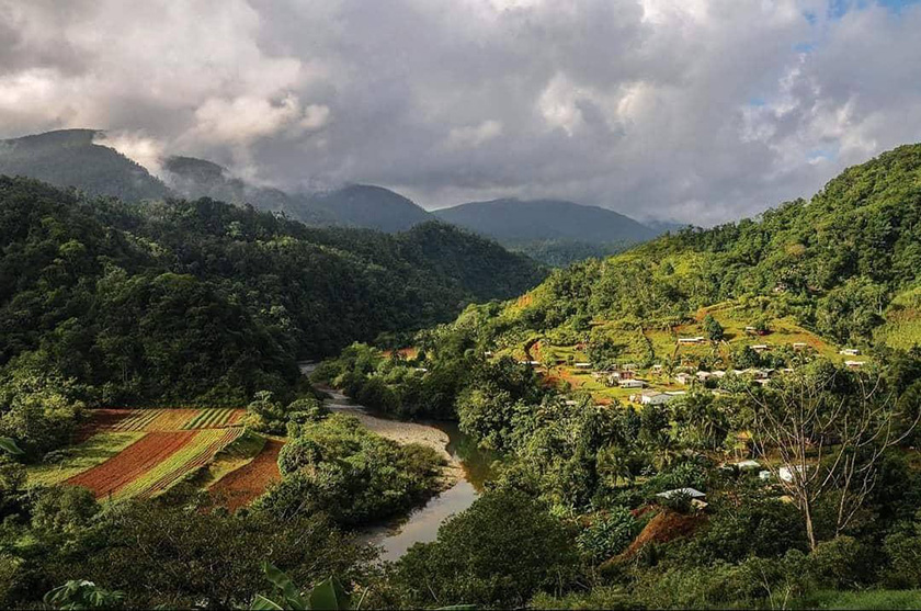 Día Mundial del Medio Ambiente