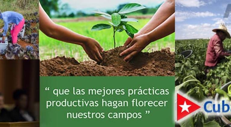 Retos del Plan SAN para la agricultura cubana