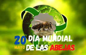  Día Mundial de las Abejas