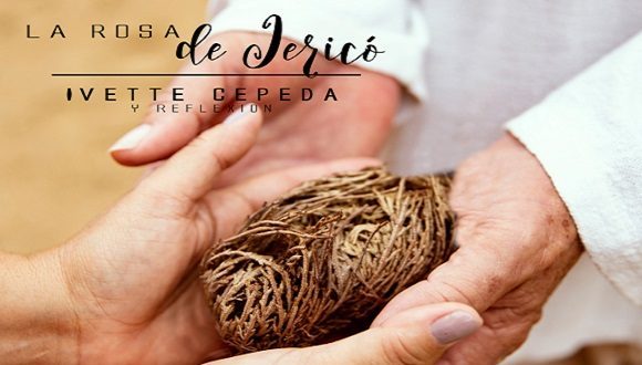 Ivette Cepeda estrena en plataformas virtuales La Rosa de Jericó