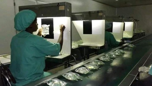 Foto: Laboratorio Farmacéutico Oriente. Foto: Laboratorio Farmacéutico Oriente.