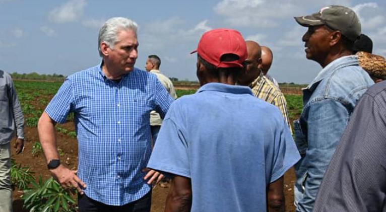 Miguel Díaz-Cane