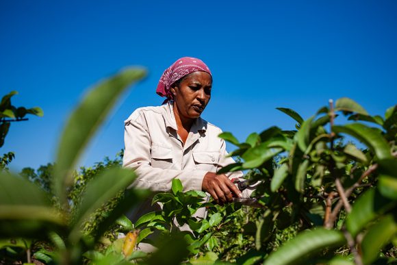 mujer rural