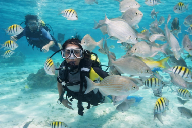 Inauguran Centro de buceo en el Acuario Nacional de Cuba 