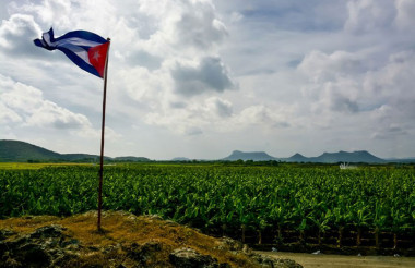 Holguín fortalece proyectos agrícolas desarrollo